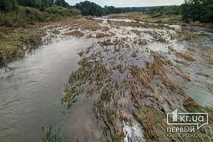 Река Ингулец изменила цвет: пробы воды направили в лабораторию