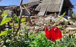 Окупанти розтрощили її хату, а вона продовжує висаджувати городину, — історія мешканки Зеленодольської ОТГ