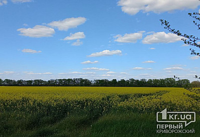 Фото к новости Главное фото новости