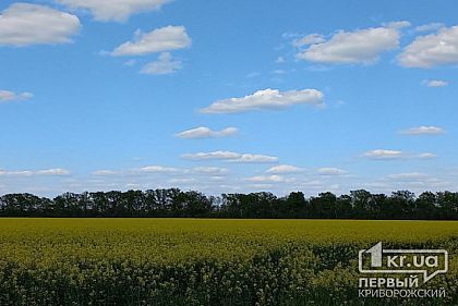 Голова ВА Криворізького району стверджує, що населені пункти району не обстрілювали