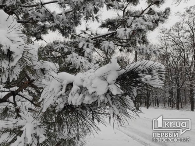 Погода в Кривом Роге 4 января