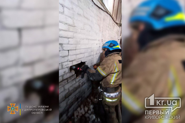 В Кривом Роге спасатели потушили возгорание в одноэтажном здании