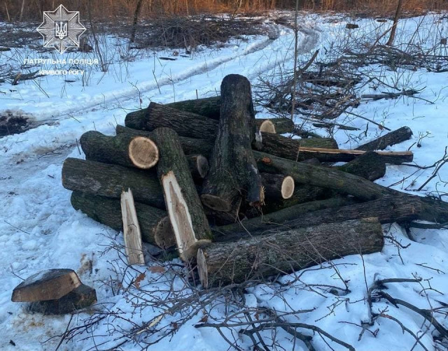 Патрульные Кривого Рога обнаружили мужчин, которые незаконно спилили деревья