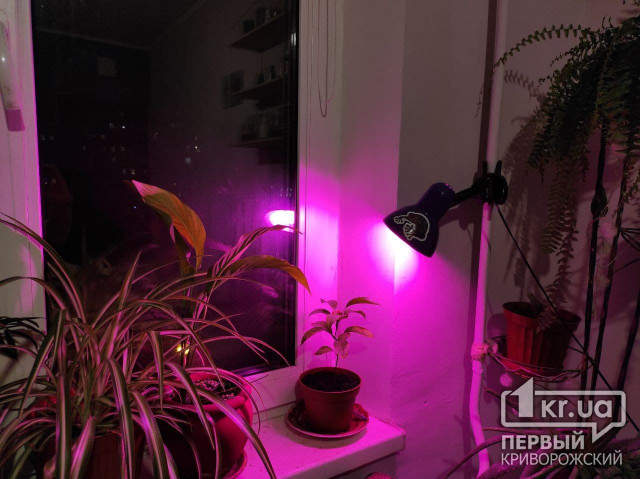 Где не будет света в Кривом Роге на этой неделе (список)