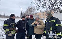 Спасатели Кривого Рога достали застрявшего в трубе кота