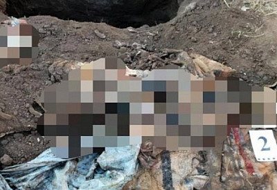 Главное фото новости