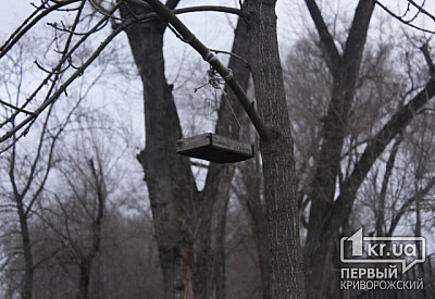 Фото к новости Главное фото новости