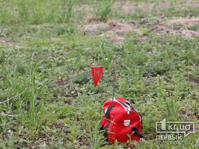 В освобожденной Херсонской области сохраняется высокий уровень минной опасности