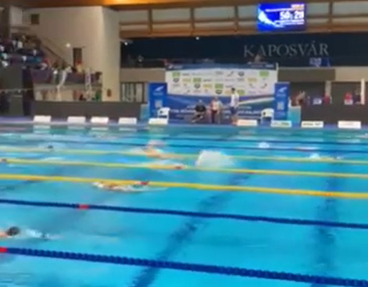 Криворожские пловцы завоевали призовые места на международных соревнованиях