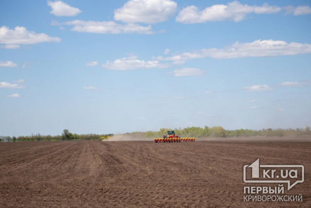 Украинские аграрии уже посеяли 3,8 миллионов гектаров пшеницы