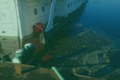 10 тонн горюче-смазочных материалов попали в дельту Днепра на Херсонщине