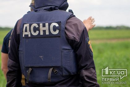 ГСЧС: в Украине заминированы 30% территории, по площади – это две Австрии