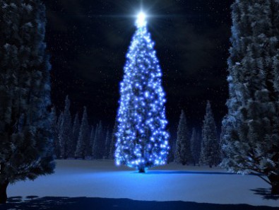 Новогодняя елка Кривого Рога будет стоять на месте светодинамического фонтана