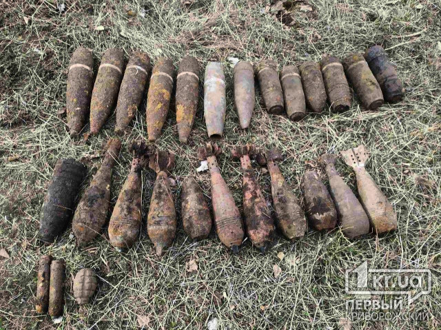 Схрон снарядов обнаружен в селе под Кривым Рогом