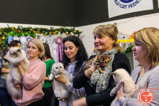 Афиша мероприятий: Международная выставка кошек и симфо-шоу ждут криворожан в субботу