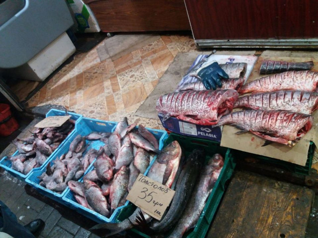 Полтонны рыбы в феврале на территории Днепропетровской области изъяли инспекторы рыбоохранного патруля