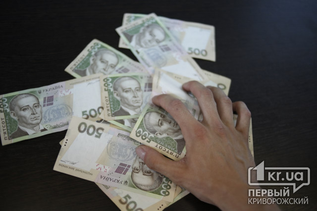 В Днепропетровской области разоблачили предприятие, которое нанесло государству почти 1 миллион гривен ущерба