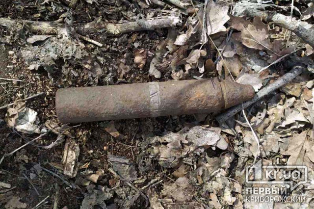 Криворожанин обнаружил в лесополосе взрывоопасный снаряд времен Второй Мировой войны