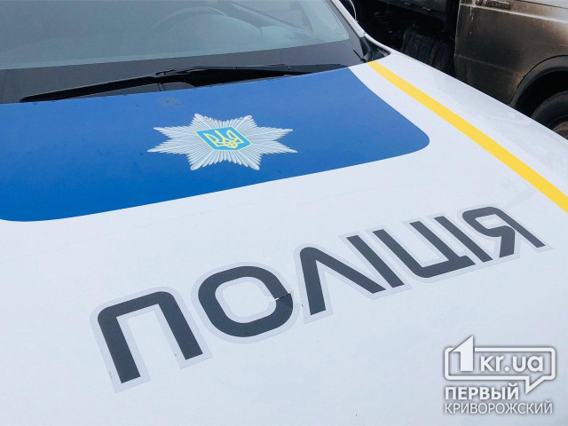 Полицейские задержали мужчину, который убил собутыльника и пытался сжечь его дом в Софиевке