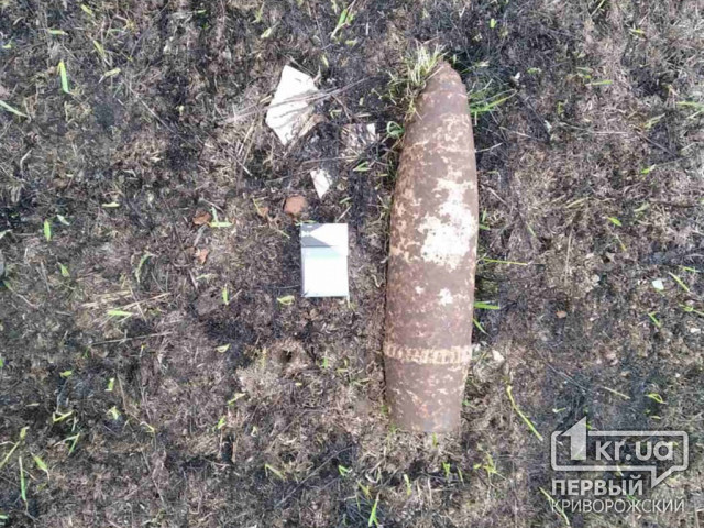 Во время прогулок жители Криворожского района нашли боеприпасы