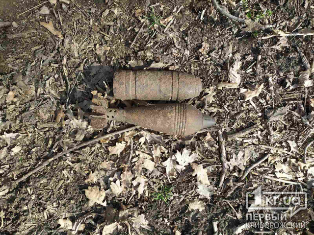 В Криворожском районе во время сбора металла мужчина нашел снаряд и мину