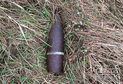 Криворожские взрывотехники обезвредили боеприпасы, которые нашел мужчина в Софийском районе