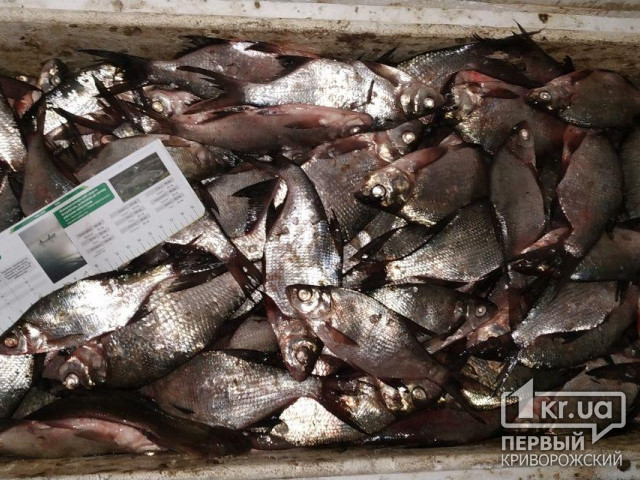 Десятки килограммов рыбы в Кривом Роге на водохранилище могли выловить незаконно, - заявление