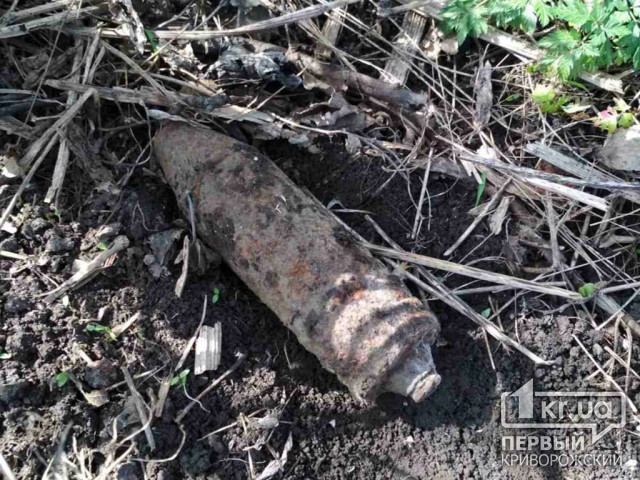 В Софиевском районе во время прогулки в балке мужчина нашел снаряд