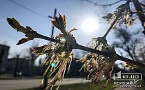 Фото новости