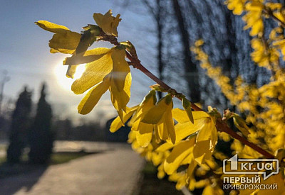 Фото к новости Главное фото новости