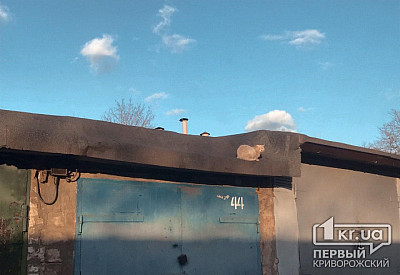 Фото к новости Главное фото новости