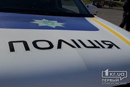 Криворожанин, который ругался матом на полицейских и нарушал общественный порядок, заплатит штраф