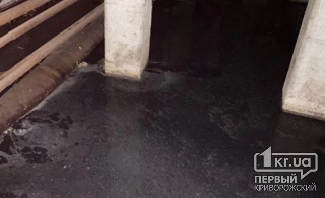 Можно запускать карасей: подвал одного из домов в Кривом Роге затопило нечистотами
