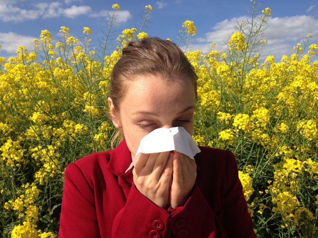 Какие симптомы имеет сезонная аллергия и как ее спрогнозировать