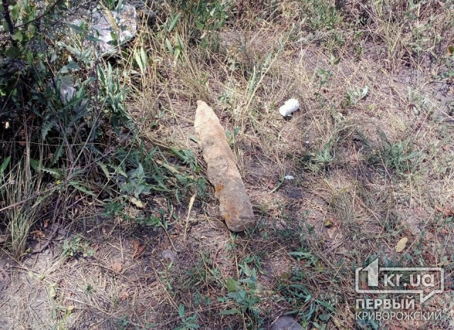 На территории Северного ГОКа в Кривом Роге нашли артиллерийский снаряд