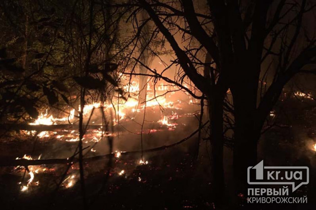 7 часов спасатели тушили масштабный пожар в лесу возле Кривого Рога