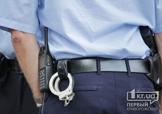 Криворожские полицейские охраны раскрыли по «горячим следам» 33 преступления за полгода