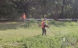 Чиновники проверили выполнение мероприятий по борьбе с амброзией на криворожском ГОКе