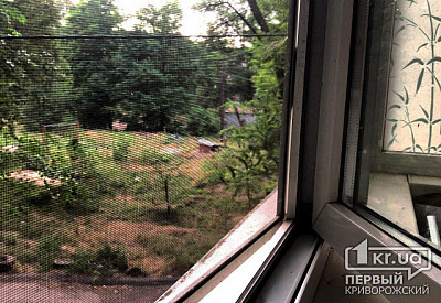 Фото к новости Главное фото новости