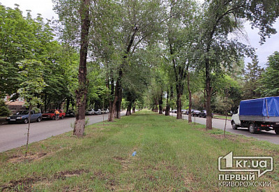 Фото к новости Главное фото новости
