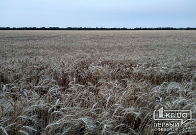 Фото к новости Главное фото новости