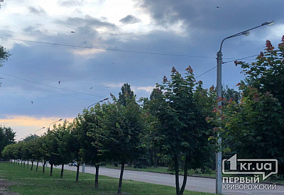 Фото к новости Главное фото новости
