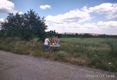 Фото к новости Главное фото новости