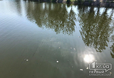Фото к новости Главное фото новости