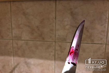 Криворожанину, зарезавшему собутыльника, вынесли приговор