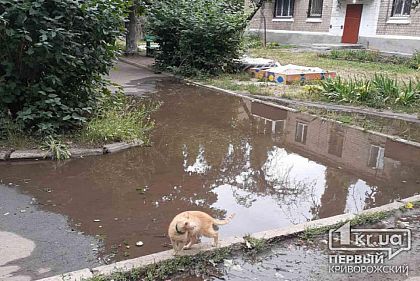 Из-за порыва возле дома криворожане больше недели живут без воды