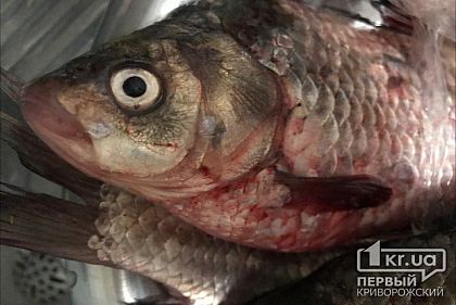 Суд оштрафовал криворожанина, который сетью ловил рыбу