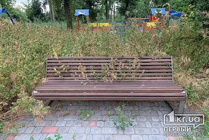Криворожский парк, в котором недавно закончился ремонт, зарос бурьянами