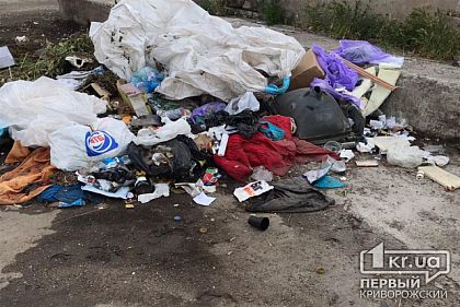 Зарезал собутыльника на мусорнике: криворожанина посадили в тюрьму