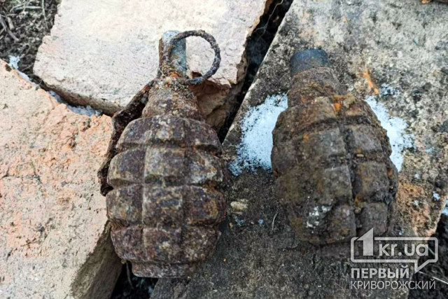 Снаряды и гранаты обнаружены в двух селах Криворожского района